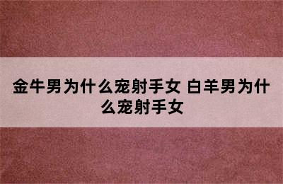 金牛男为什么宠射手女 白羊男为什么宠射手女